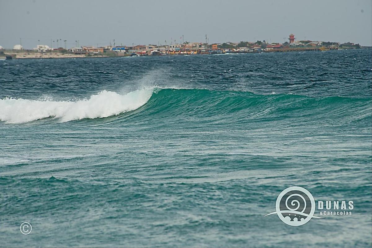 Entre Dunas Y Caracolas Punta de Choros Extérieur photo